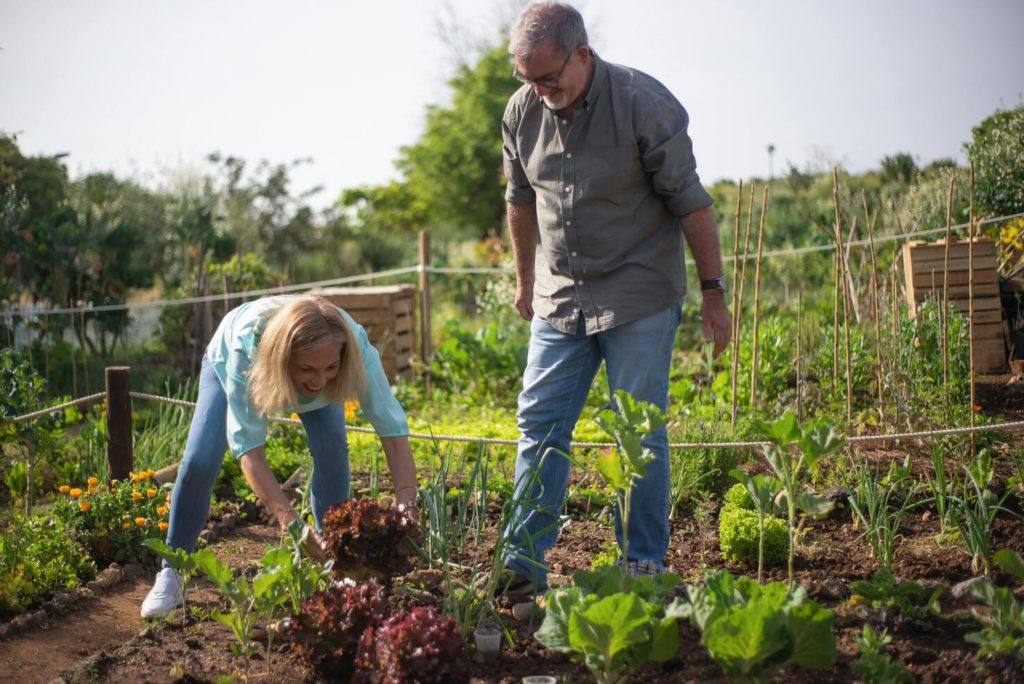 Urban Gardening: Greening Our Cities from the Ground Up